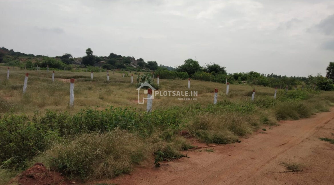 Tarakarama-Nagar-Residential-Plots-Taramatipet-Hyderabad