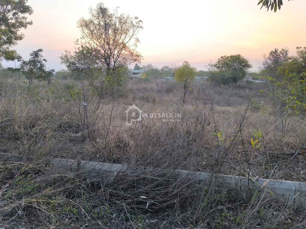 Touchstone-Developers-Diamond-Chicken-Products-Srinagar-Village-Tukkuguda-Maheswaram-
