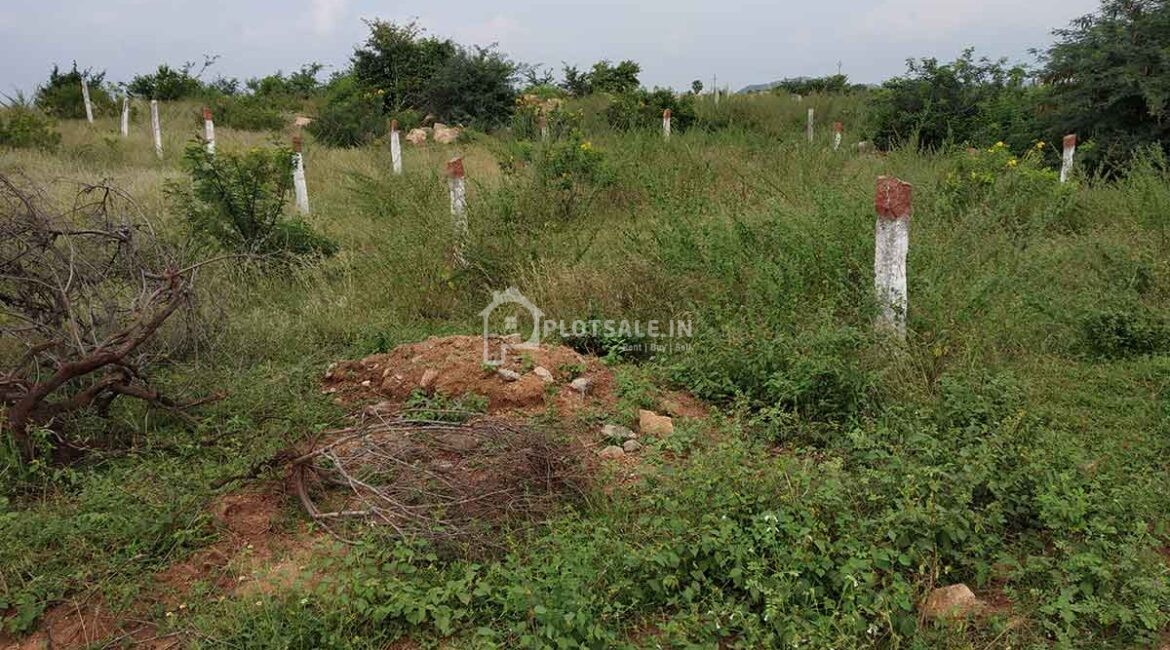bhrundhavan-plots