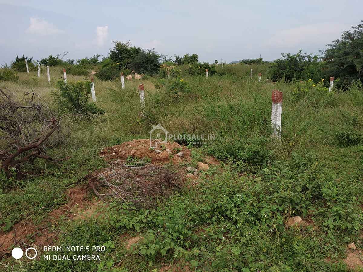 bhrundhavan-plots