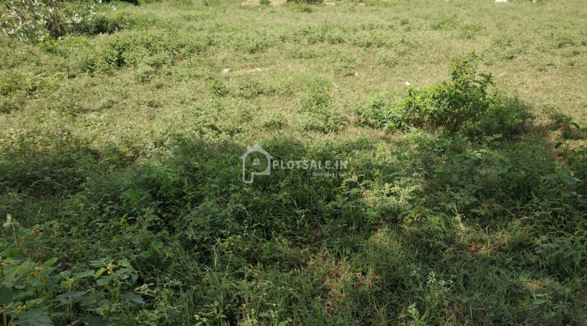 janachaitanya-jukal-village-Shamshabad