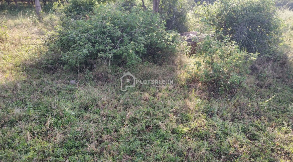 Amity-Park-Cherlaguda-Village-Shamshabad-0