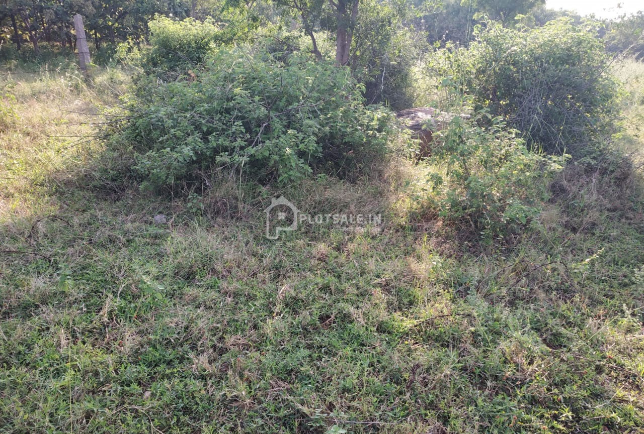 Amity-Park-Cherlaguda-Village-Shamshabad-0