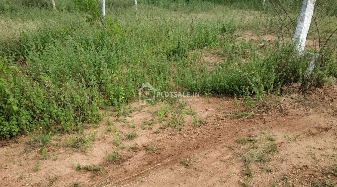 Chalapathi-Gardens-Plots-Mansanpally-in-Maheswaram-Hyderabad-1