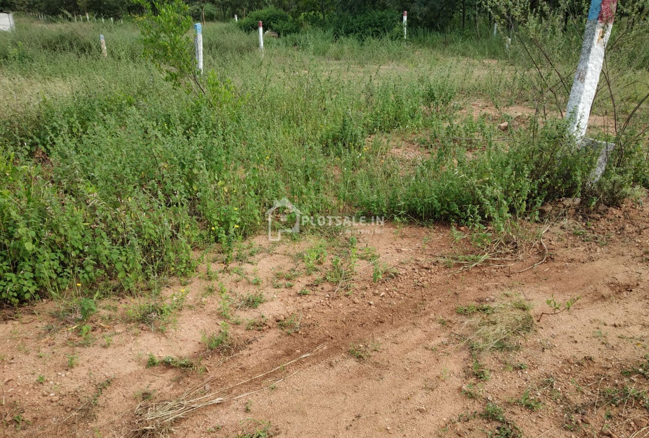 Chalapathi-Gardens-Plots-Mansanpally-in-Maheswaram-Hyderabad-1