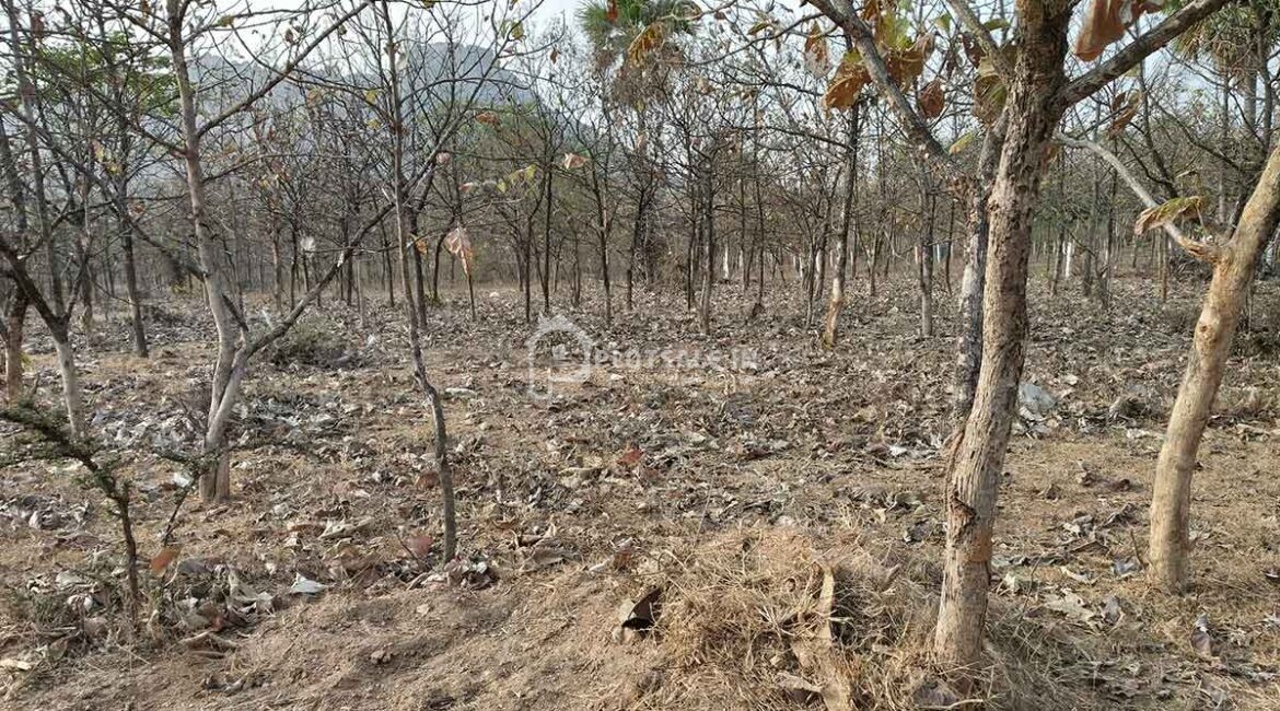 Fine-wood-Layout-plots-mohamad-nagar