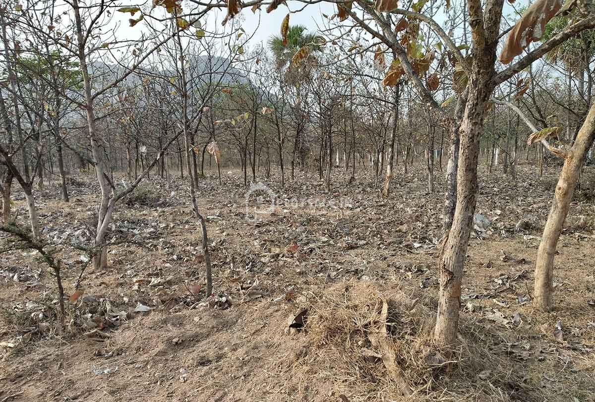 Fine-wood-Layout-plots-mohamad-nagar