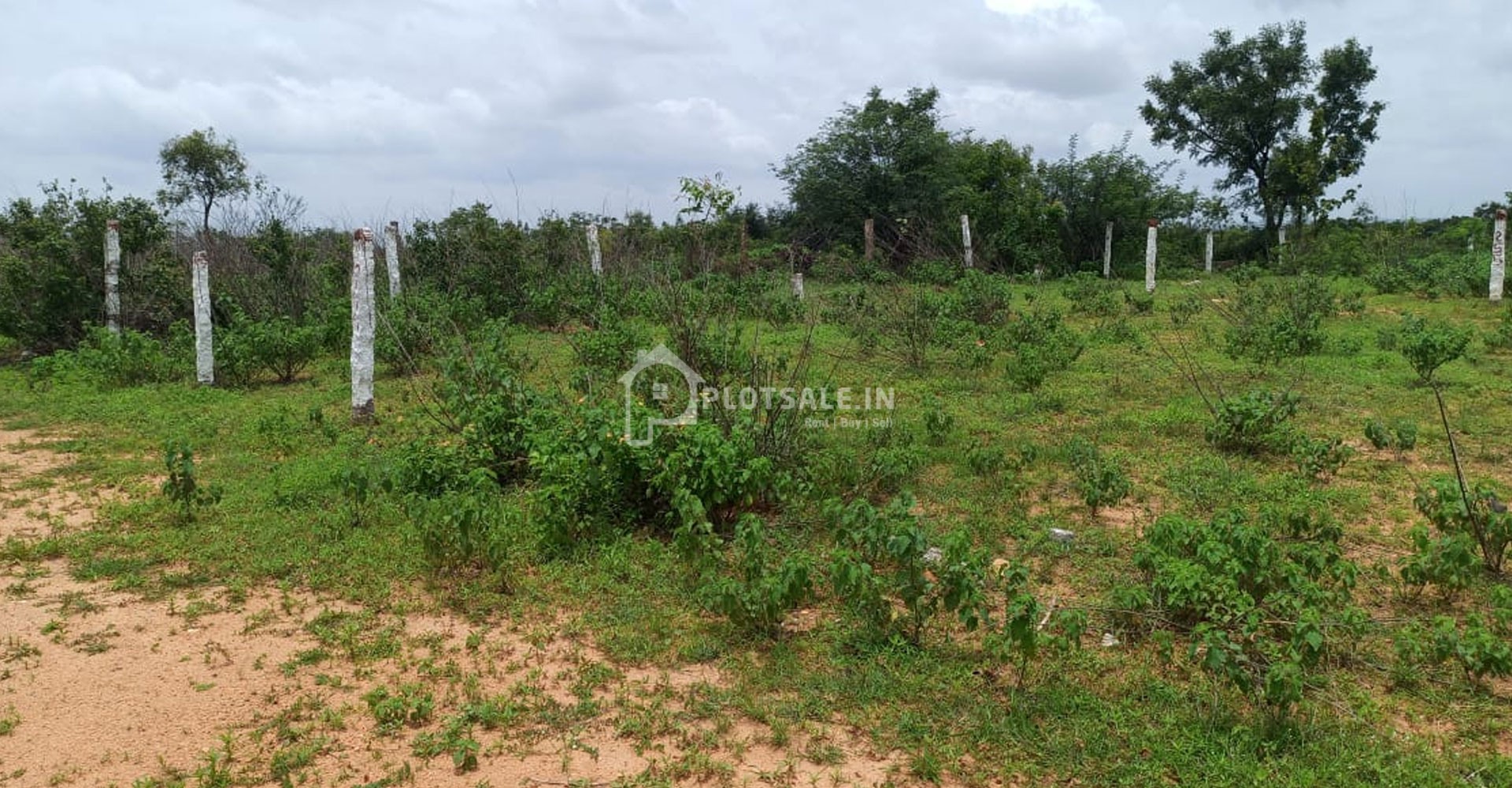 GPR-Layout-plots-in-Peddashapur-Shamshabad-Hyderabad-Telangana-2