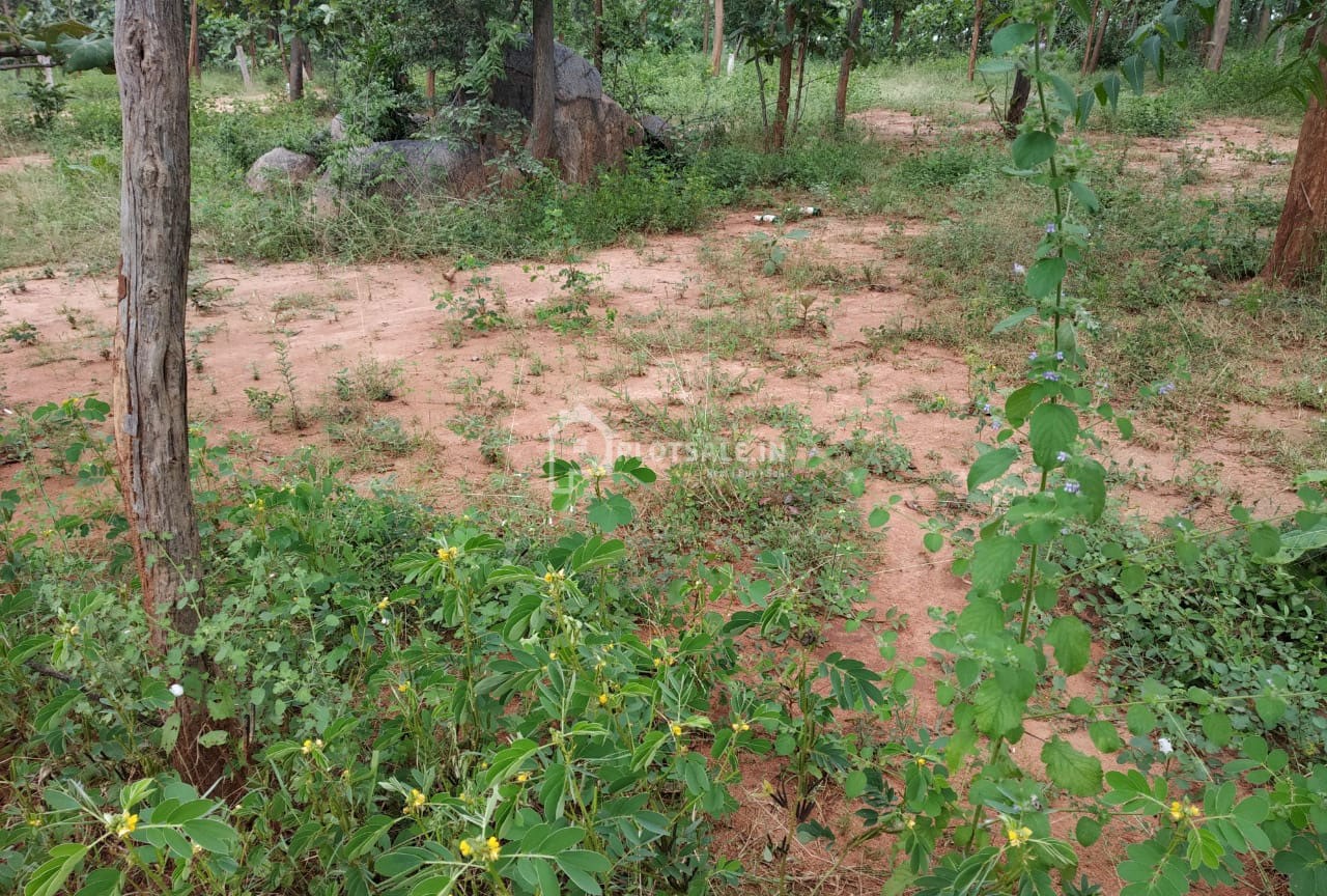 Maxima-Estate-Grand-Ville-II-Gandiguda-Kishenguda-Shamshabad-2