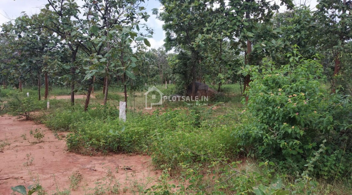 Maxima-Estate-Grand-Ville-II-Gandiguda-Kishenguda-Shamshabad-4