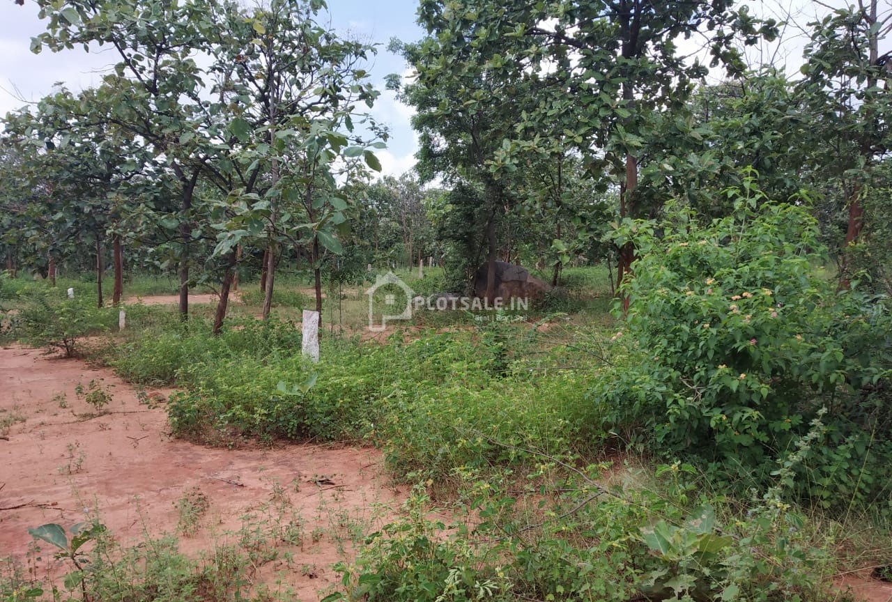 Maxima-Estate-Grand-Ville-II-Gandiguda-Kishenguda-Shamshabad-4-2