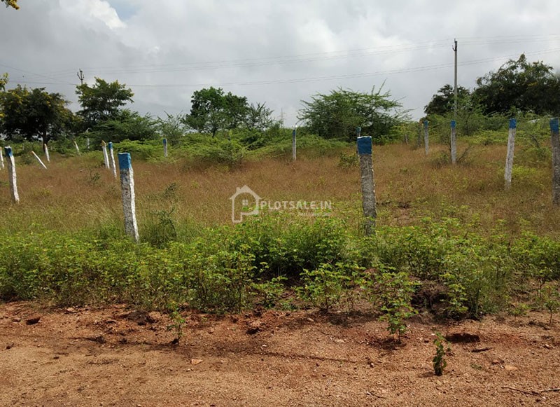 Sparrow-Shore-Plots-Dubbacherla-Mansanpally-Maheshwaram-Rangareddy-Hyderabad