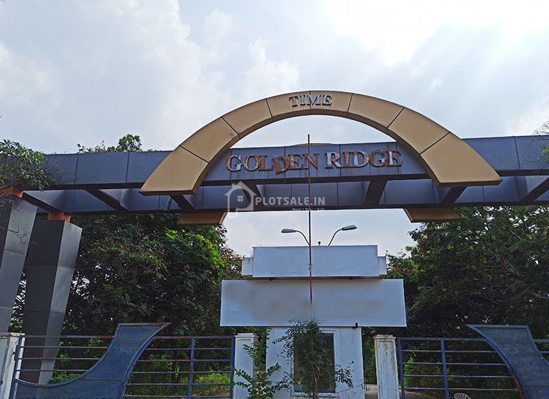 Time-Golden-Ridge-Plots-in-Pendyala-Maheshwaram