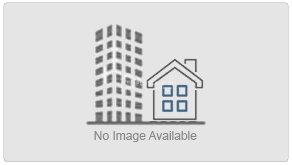 no-image